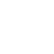 arac-filosu